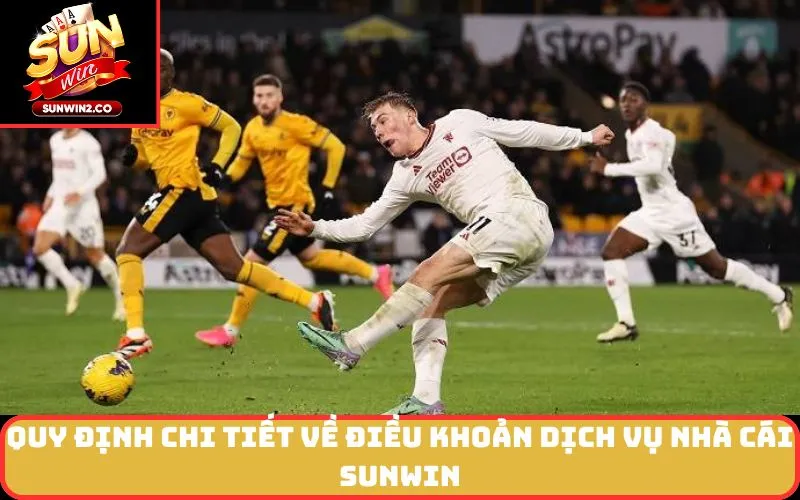 Quy định chi tiết về Điều Khoản Dịch Vụ nhà cái SUNWIN